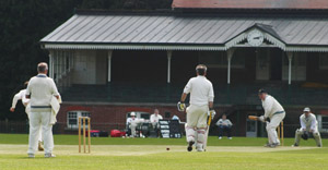 Cricket, 2009
